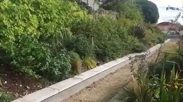 Ballinacree Biodiversity & Sensory Garden