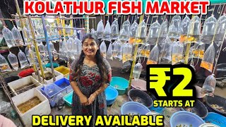 ₹2 முதல்🤯 Imported & Exotic Fish 🐟  Delivery available by How Hema 63,752 views 1 month ago 13 minutes, 16 seconds
