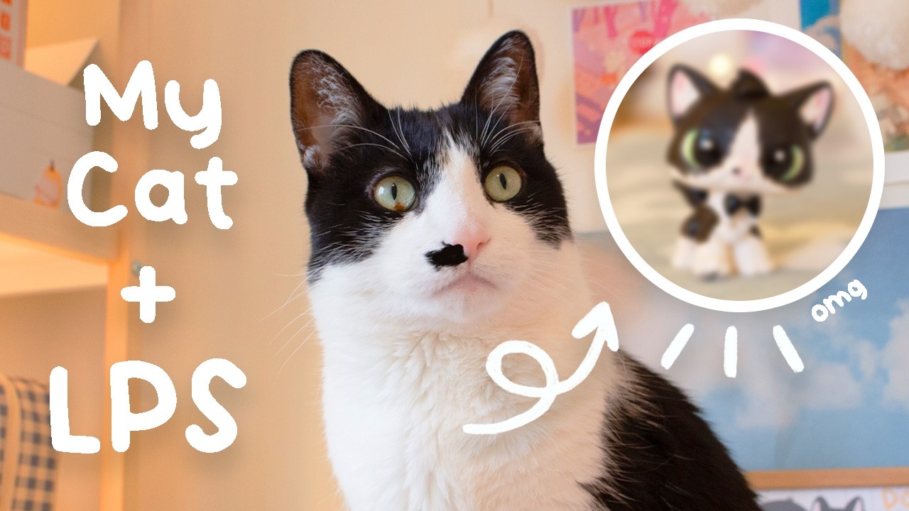 I Made My Cat Into a Littlest Pet Shop! ✧˖°.