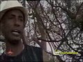 Agadaabirraa Video by Dagim Mekonnen Mp3 Song