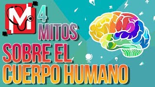 4 MITOS sobre el CUERPO HUMANO que CREÍAS 🚫