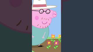 La Mejor Mascota | Peppa Pig en Español #shorts #peppapig #dibujosanimados