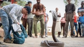 Terrifying Snake Attacks on Humans | Real Horror Caught on Camera