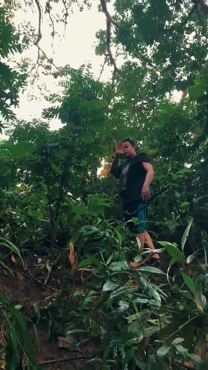 anak pedalaman Kalimantan #nature #cinematic #storywa