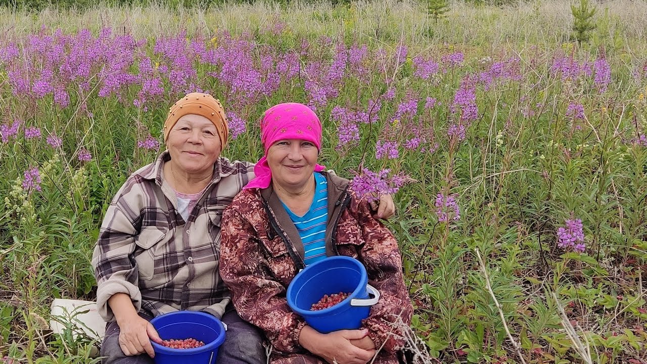 Мы устали как на каторге??//накормите семью????// у меня вопрос ????// - YouTube