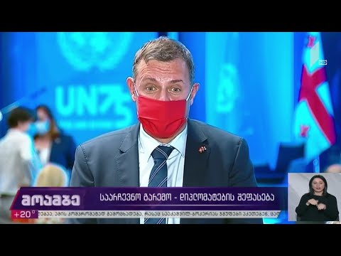 #არჩევნები2020 დიპლომატების შეფასება საარჩევნო გარემოზე
