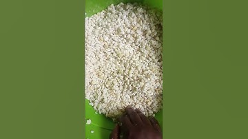 Corn flour/ special tuwo flour make process pt2