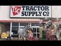 I TOOK MY HORSE INTO A TRACTOR SUPPLY STORE!