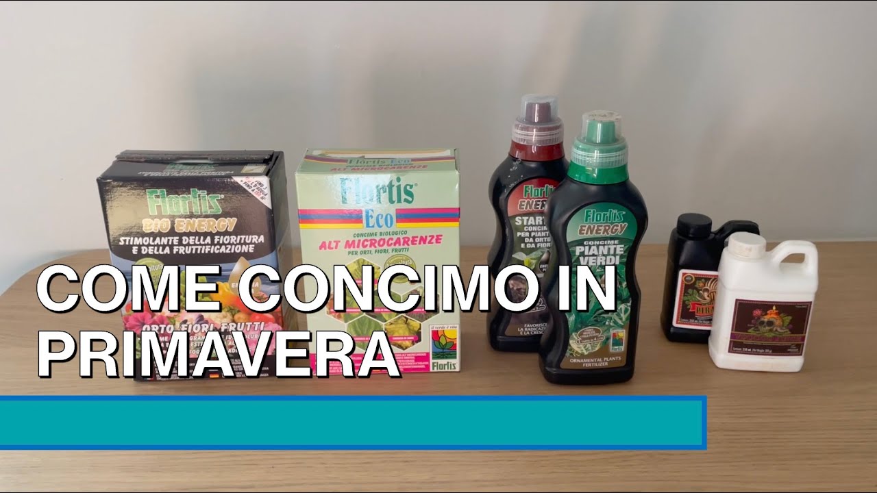 COME CONCIMO IN PRIMAVERA I MIEI BONSAI - Ecco quali prodotti uso