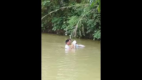 Thả lưới và kỹ thuật bắt cá suối ở phú thọ....