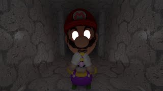 The Mario Apparition