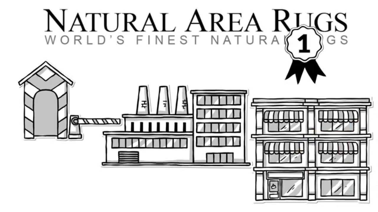 World's Finest Best Natural Rugs from Natural Area Rugs
