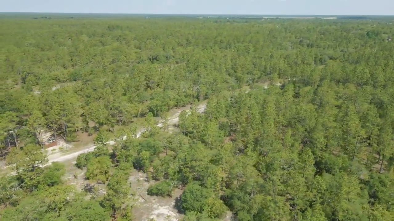 .25 Acre Property in Rainbow Lake Estates! YouTube