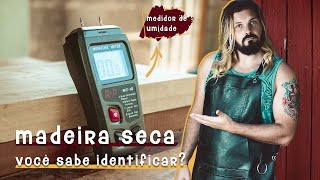 Madeira Seca - Você sabe identificar? O guia definitivo pra você não ficar na mão.