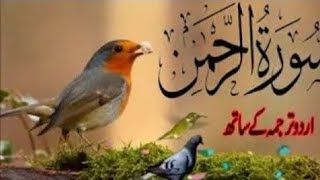 Surah Rahman Full With Urdu Translation &amp;  Explanation  Amazing Quran Recitation 