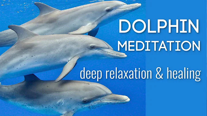 Dolphin Meditation with Time Line Healing & Gentle...