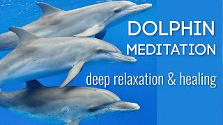 Dolphin Meditation with Time Line Healing &amp; Gentle Kundalini Activation