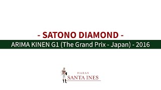 SATONO DIAMOND - ARIMA KINEN (G1) The Grand Prix , Japan - 2016