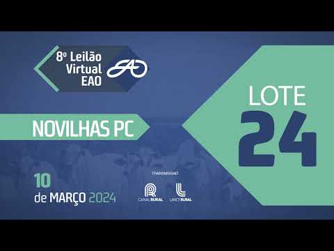 LOTE 24