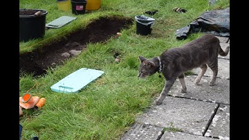 Back Garden Archaeology Test Pit Dig 2020