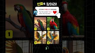 #진짜를찾아라 [앵무새 편] #눈썰미퀴즈 #관찰력 #집중력게임 #다찾아봐  #FindTheReal #EyeSmartQuiz #observations