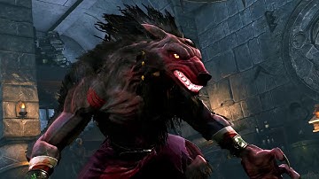 Killer Instinct sabrewulf play Part 2