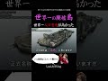 【世界一人口密度が高い!?】長崎県に「軍艦島」と呼ばれた離島が凄かった...【離島/廃墟/軍艦島/端島/長崎県】#Shorts