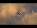 ELA Eclipse Gyrokopter Dusk Airshow Display  - Flygfesten 2022