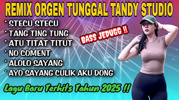 REMIX ORGEN TUNGGAL TANDY STUDIO❗Lagu terhits Tahun 2025❗Stecu stecu, Tang ting tung, No coment