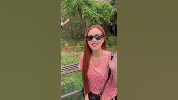 Đi đâu ở hàn quốc tập 5 #korea #phuonghang #dulich #travel