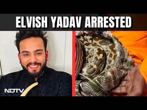 Elvish Yadav Arrested In Snake Venom-Rave Party Case | NDTV 24×7 LIVE TV