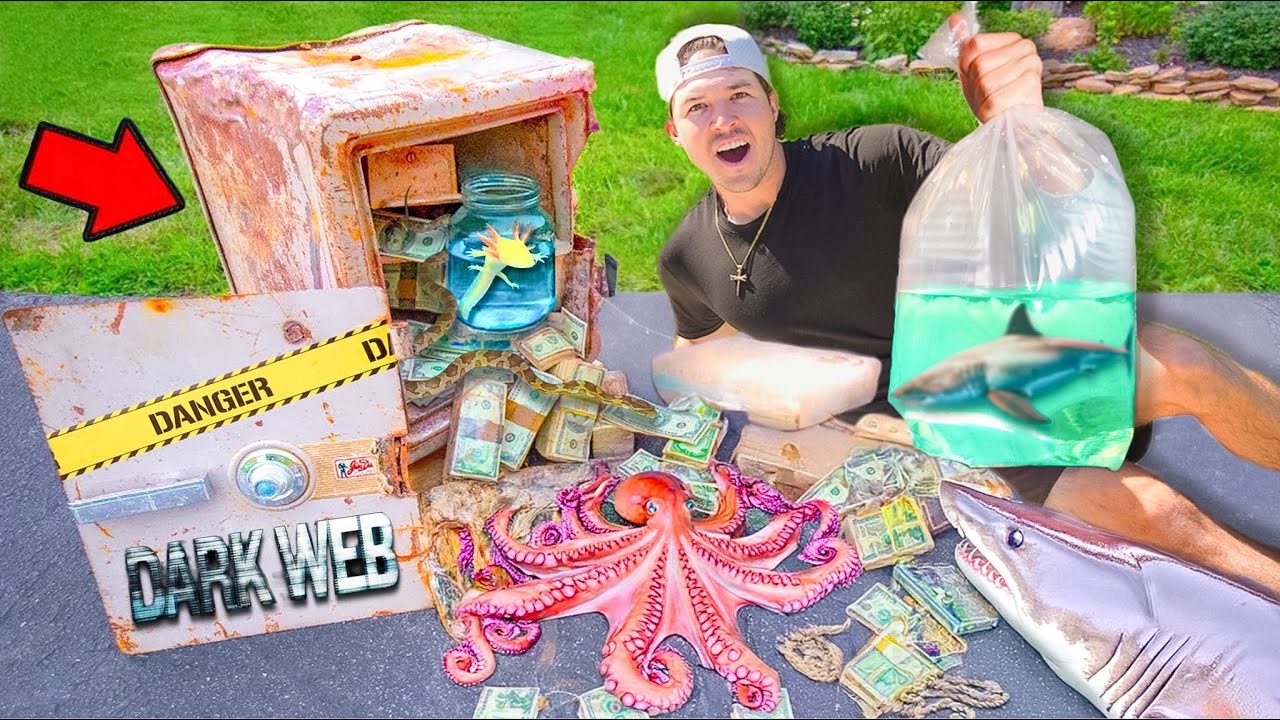 Comprando una Caja Fuerte Abandonada Llena de Peces en la Dark Web…