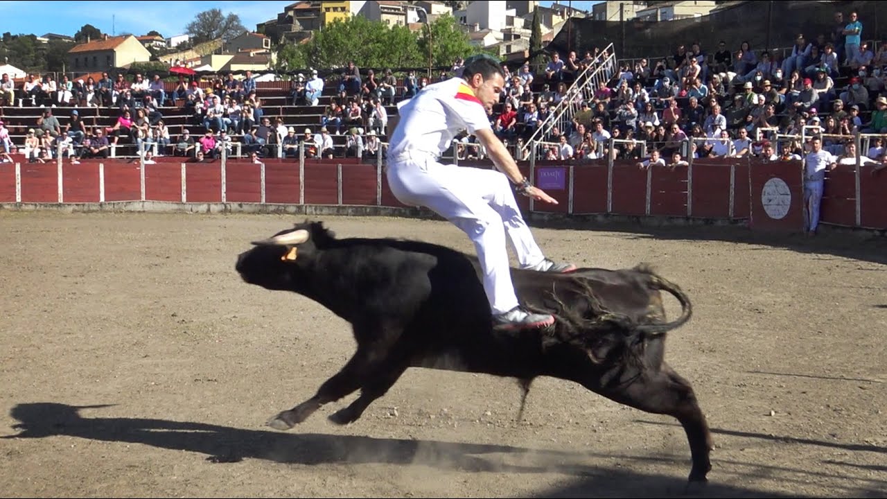 Fermoselle 2022 Concurso Benéfico de Recortadores