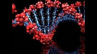 Environmental Factors Affecting Gene Expression