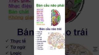 Trò chơi thú vị phát triển đồng đều 2 bán cầu não Trò chơi thú vị phát triển đồng đều 2 bán cầu não