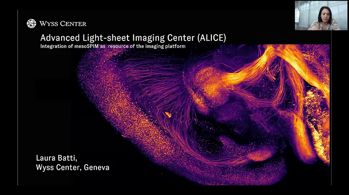 Laura Batti: ALICe, Advanced Lightsheet Imaging Ce...