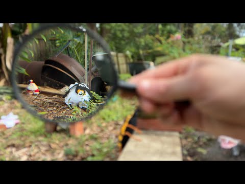 I Spy With my Eye 👁️ (Garden Critters) ASMR