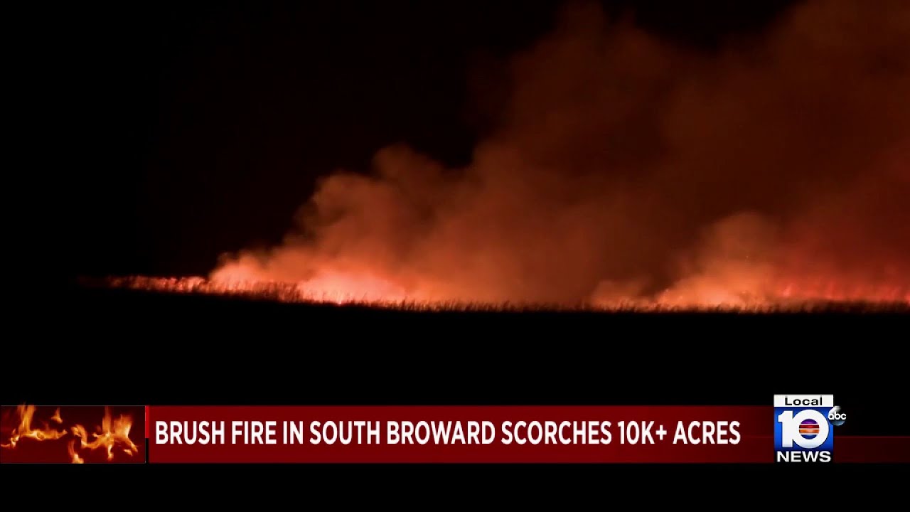 Brush fire alert in south Broward County - YouTube