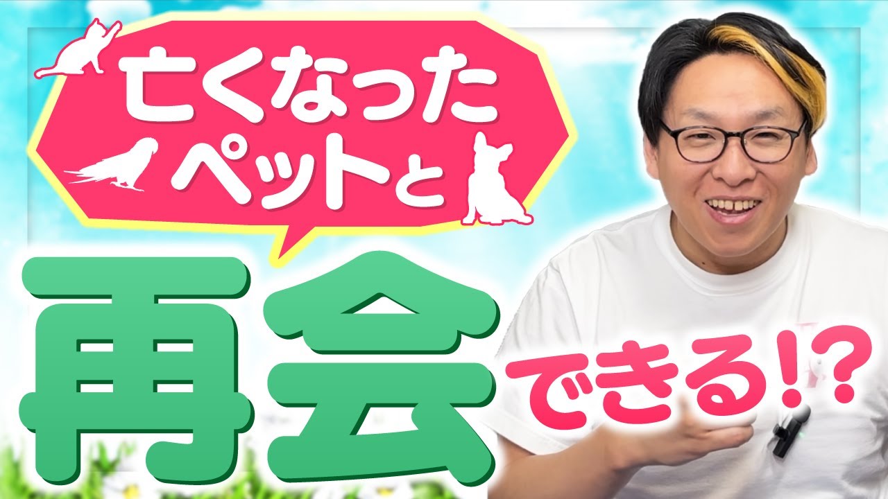 またもう1度会える? - YouTube