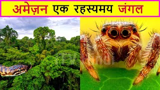 अमेजन के जंगल का रहस्य | Amazon Jungle | Amazon Rainforest Documentary in Hindi | Amazon Forest