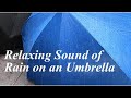 [For Good Sleep] Relaxing Sound of Rain on an Umbrella