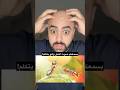 بسمعكم صوت النمل لما يتكلم سبحان الله