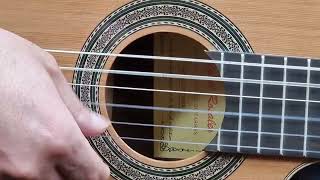 Miguel Rosales C3BCEQCR solid Cedar top. Thin body Classical guitar with Genuine Fishman Pickup.