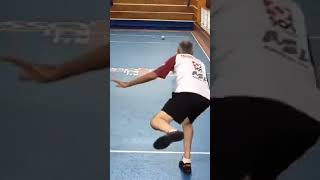 Cunhado De Araras Bochada Otima Nota 10