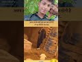 अगर आपसे कोई पूछे वफा क्या होती है तो यह वीडियो भेज देना..#trending #video #viral #song #reels