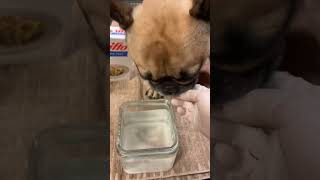 Dr Schell discusses how to perform a warm salt water soak🤗🐶🐈❤️ by Bow Bottom Veterinary Hospital 23 views 13 days ago 3 minutes, 14 seconds