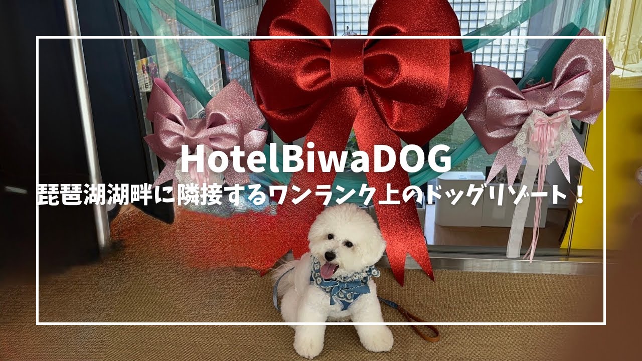 【Vlog】Hotel BiwaDOG 琵琶湖湖畔に隣接するワンランク上のドッグリゾート【ビションフリーゼ】
