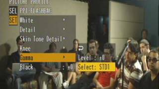 Sony EX3 Gamma Settings