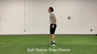 Celebrity Resilient Performance - Split Stance Snap Downs Profile