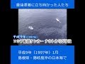 【現場から、】平成の記憶、重油漂着に立ち向かった人たち